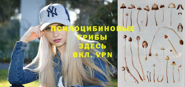 твердый Алзамай