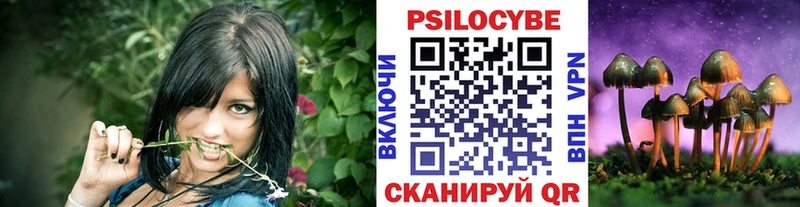 Псилоцибиновые грибы прущие грибы Кизел